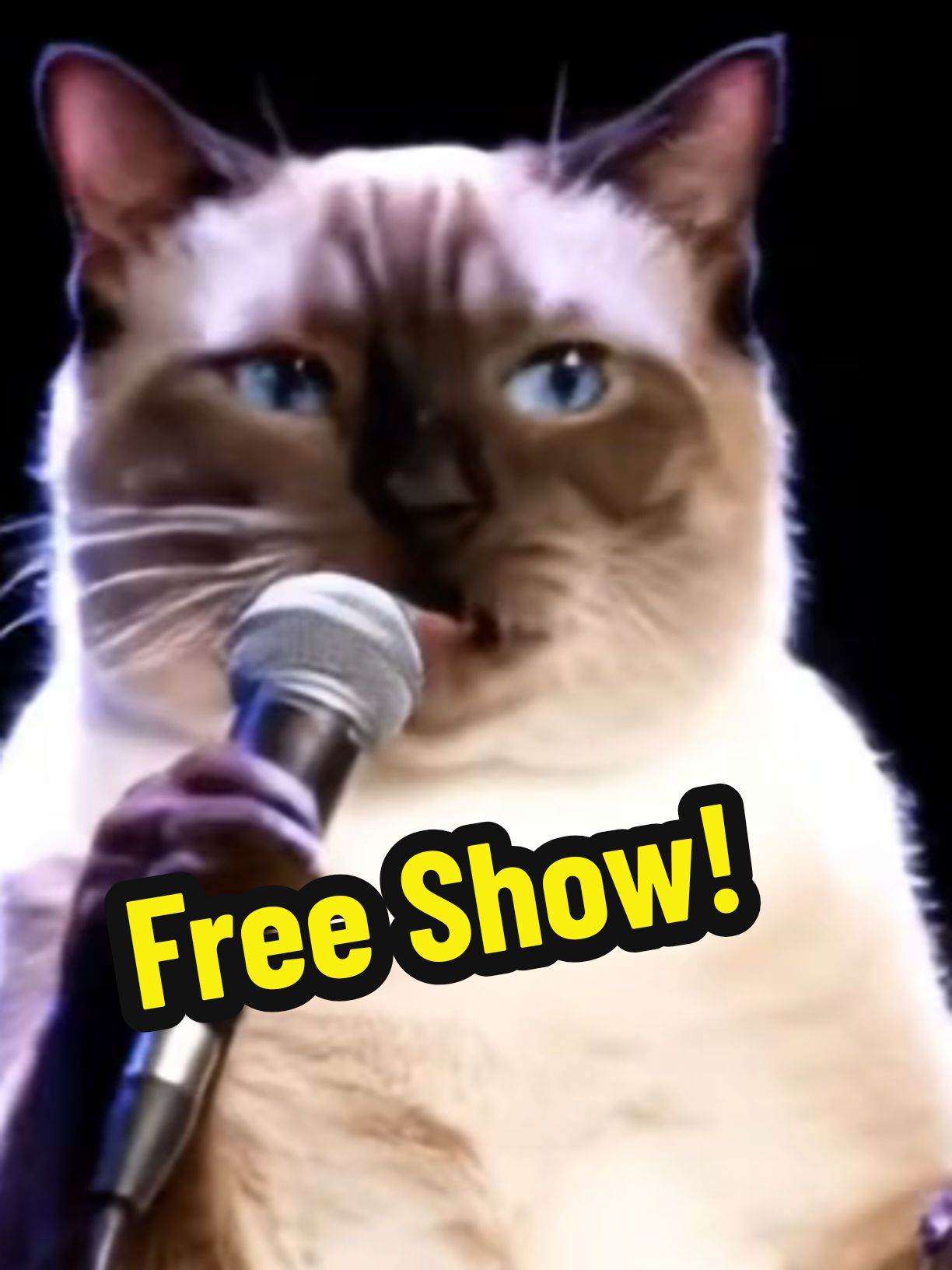 @comedyclubcats