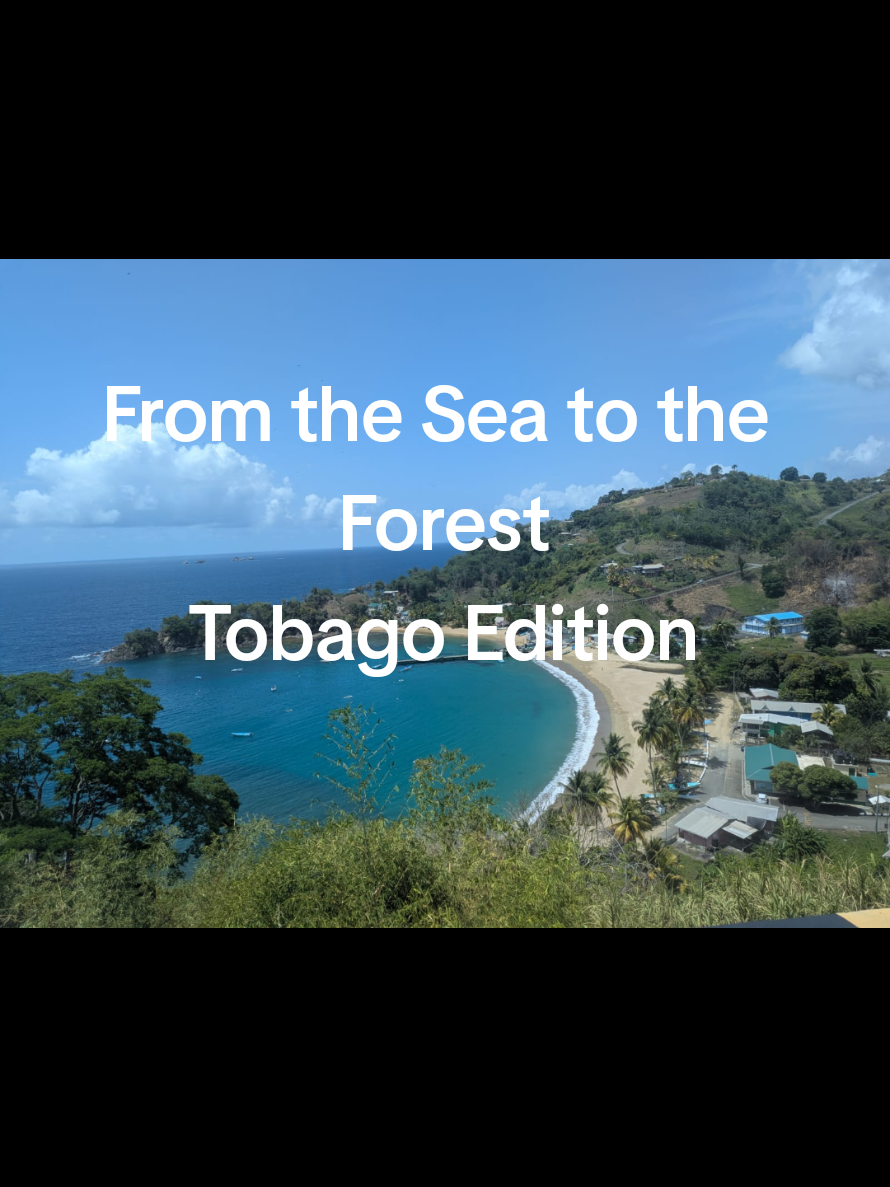 @caribbeanherbalism
