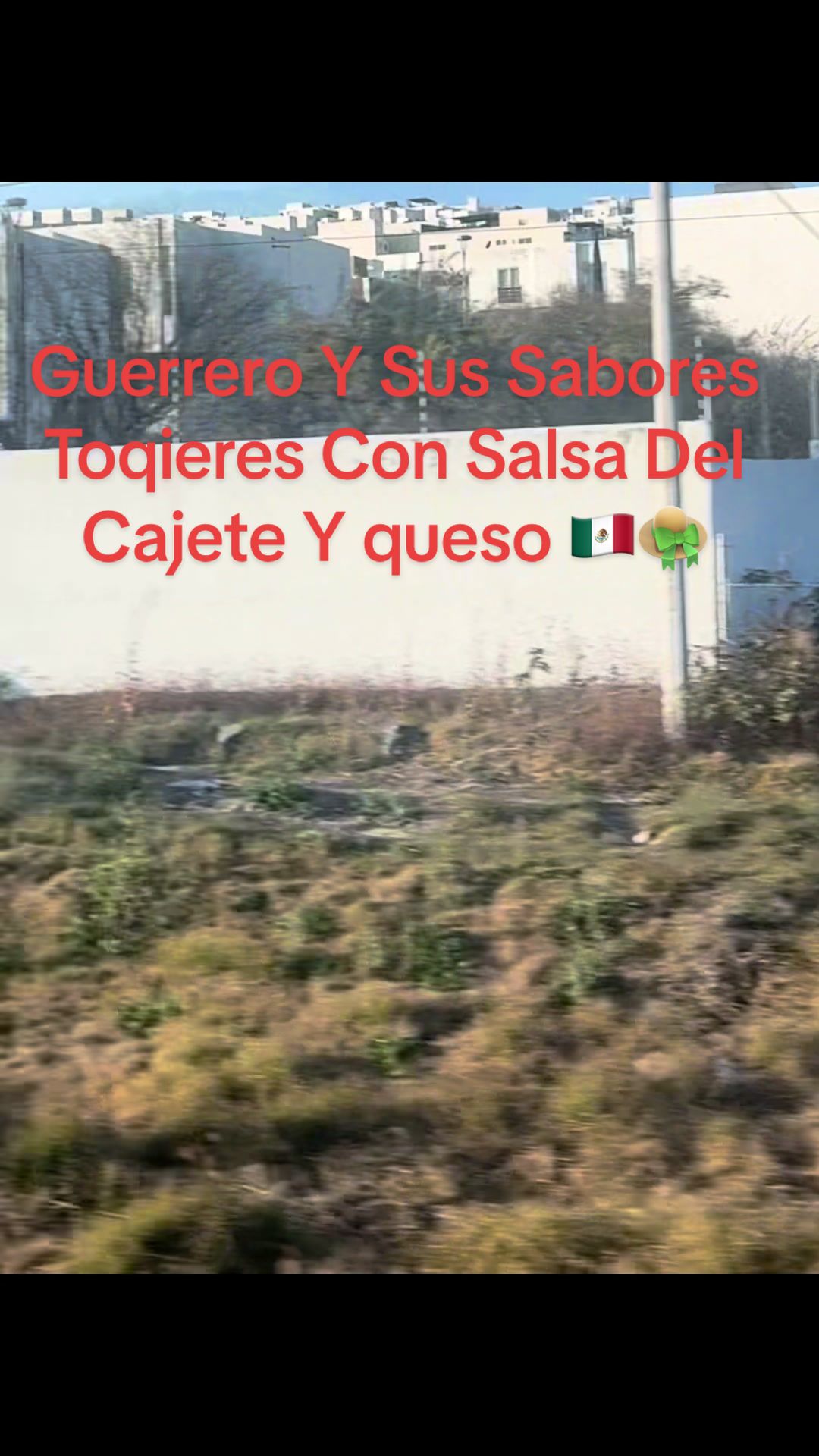 @Gloria Molina