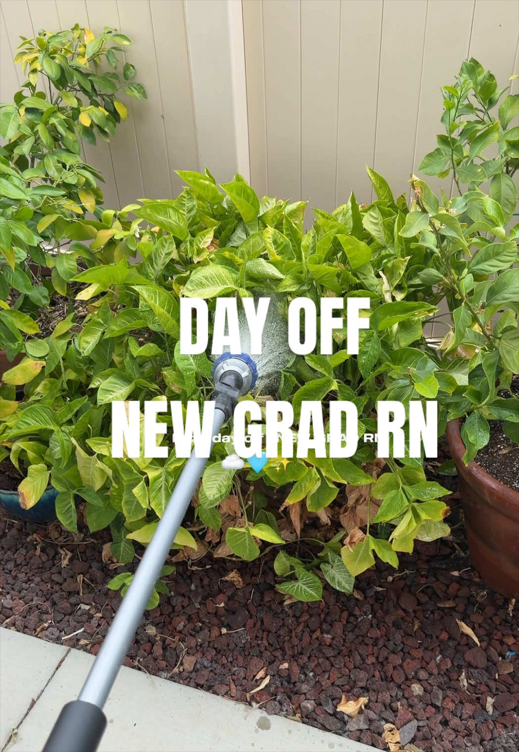 @Sam | BSN, RN 🤎