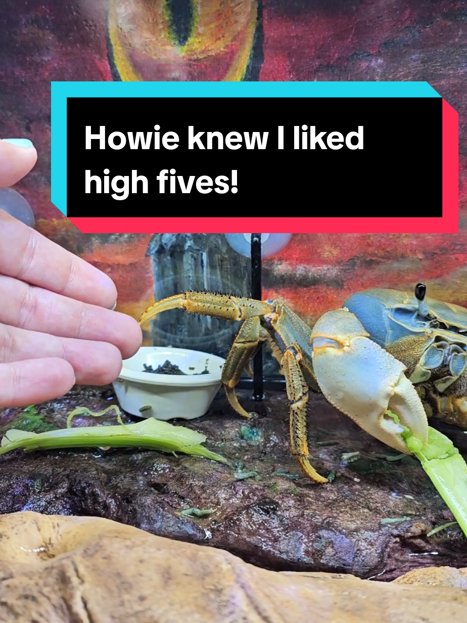 @Howie The Crab