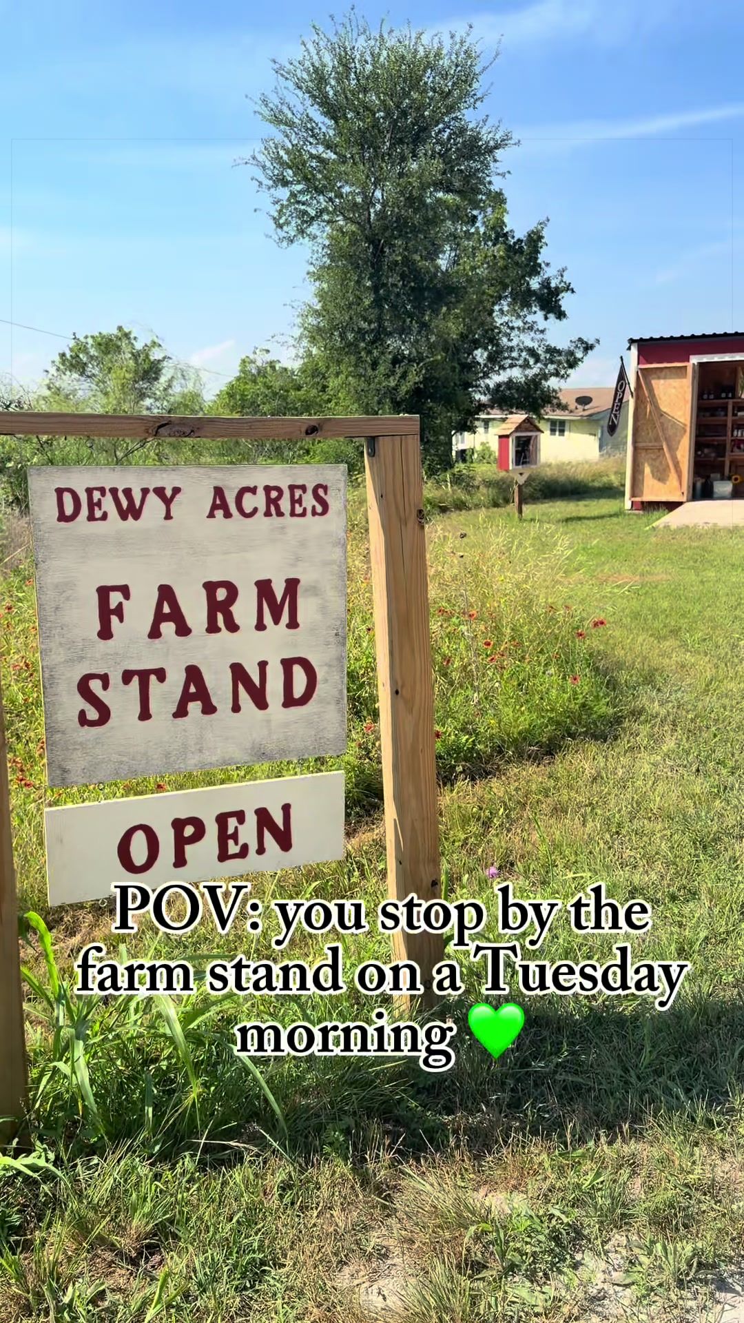 @Dewy Acres Farmstead | Laura