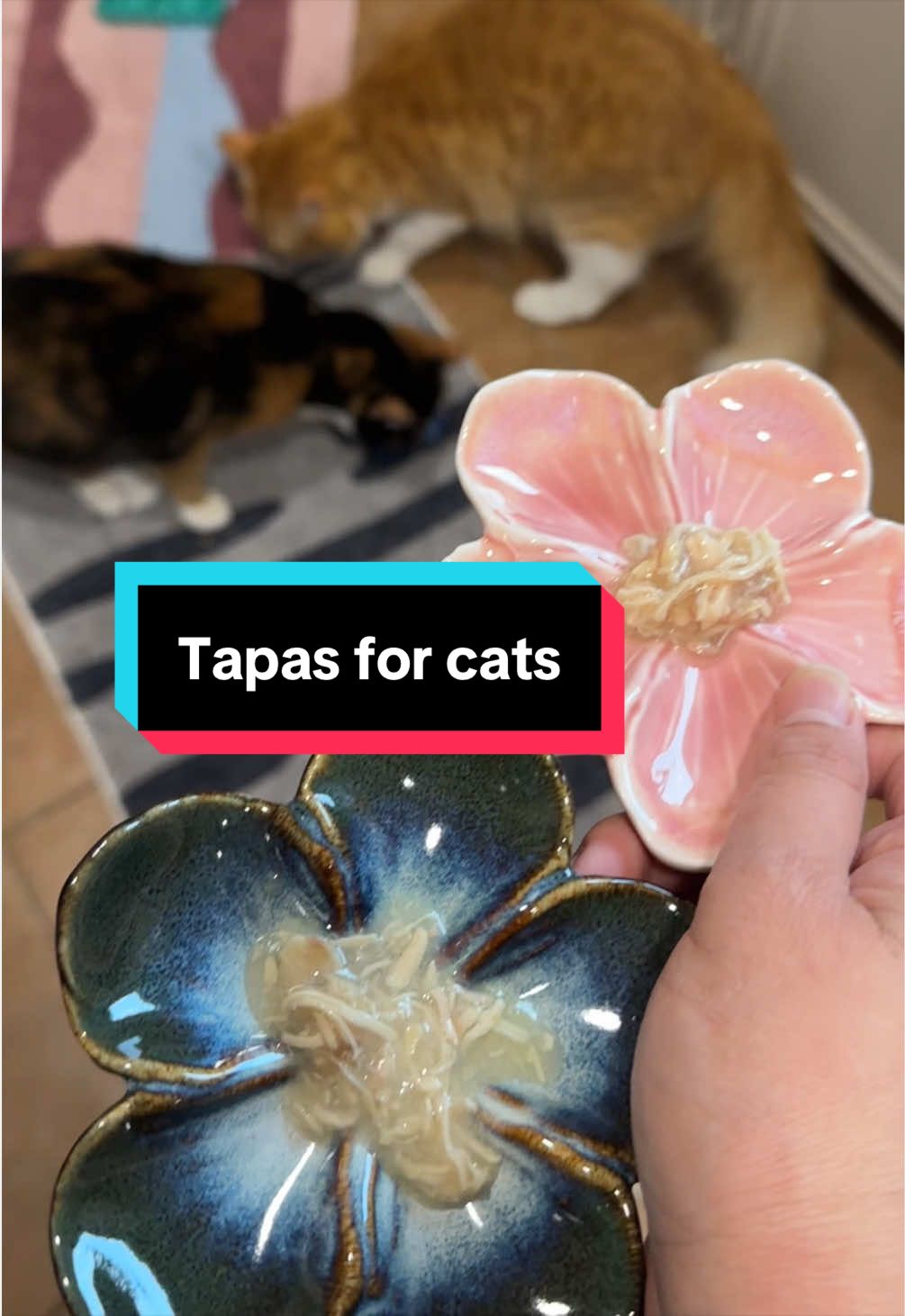 @meloncreamcat