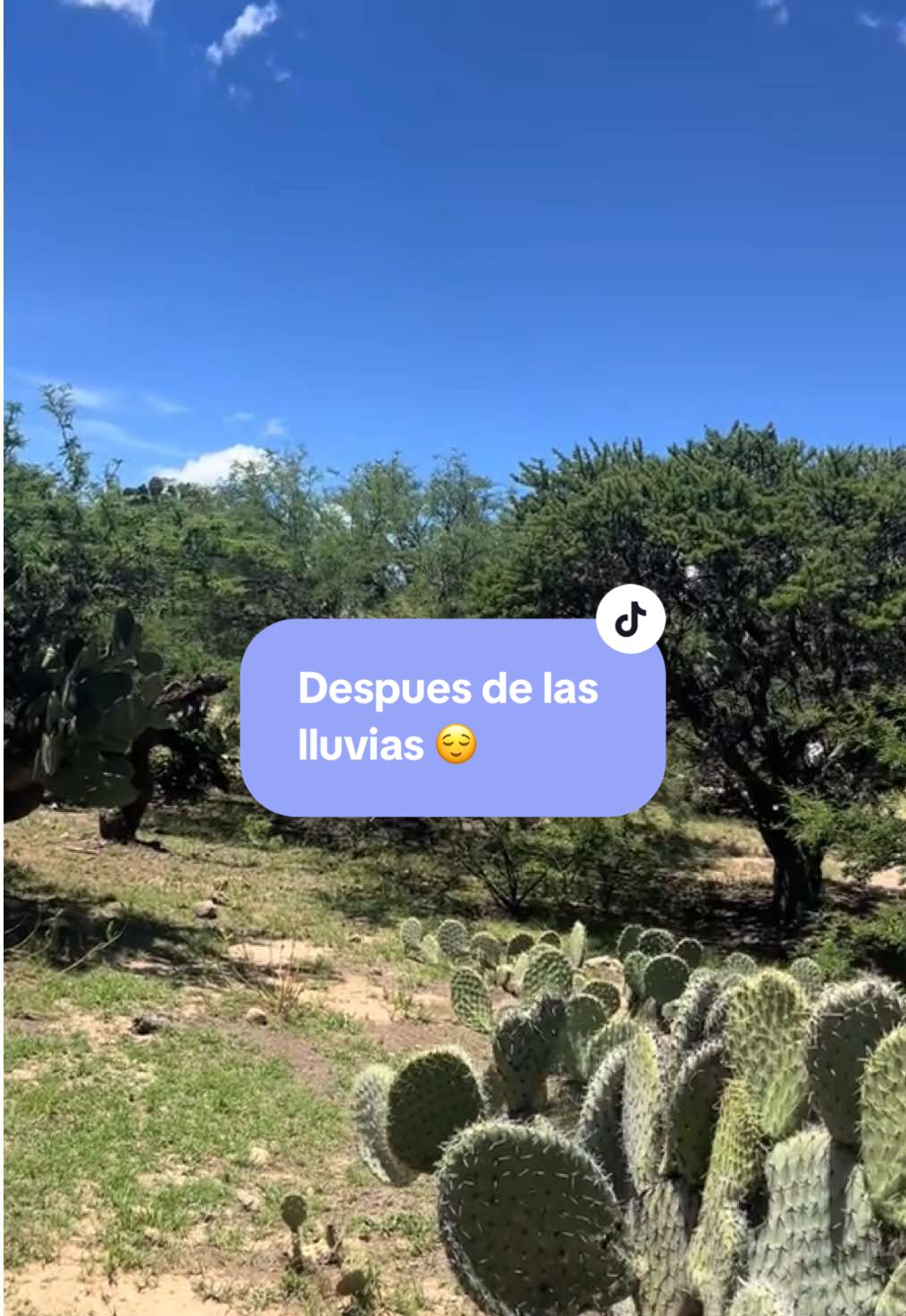 @mariaorozco7788