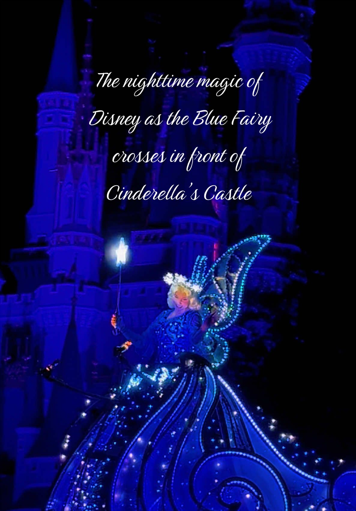@Enchanted Castle