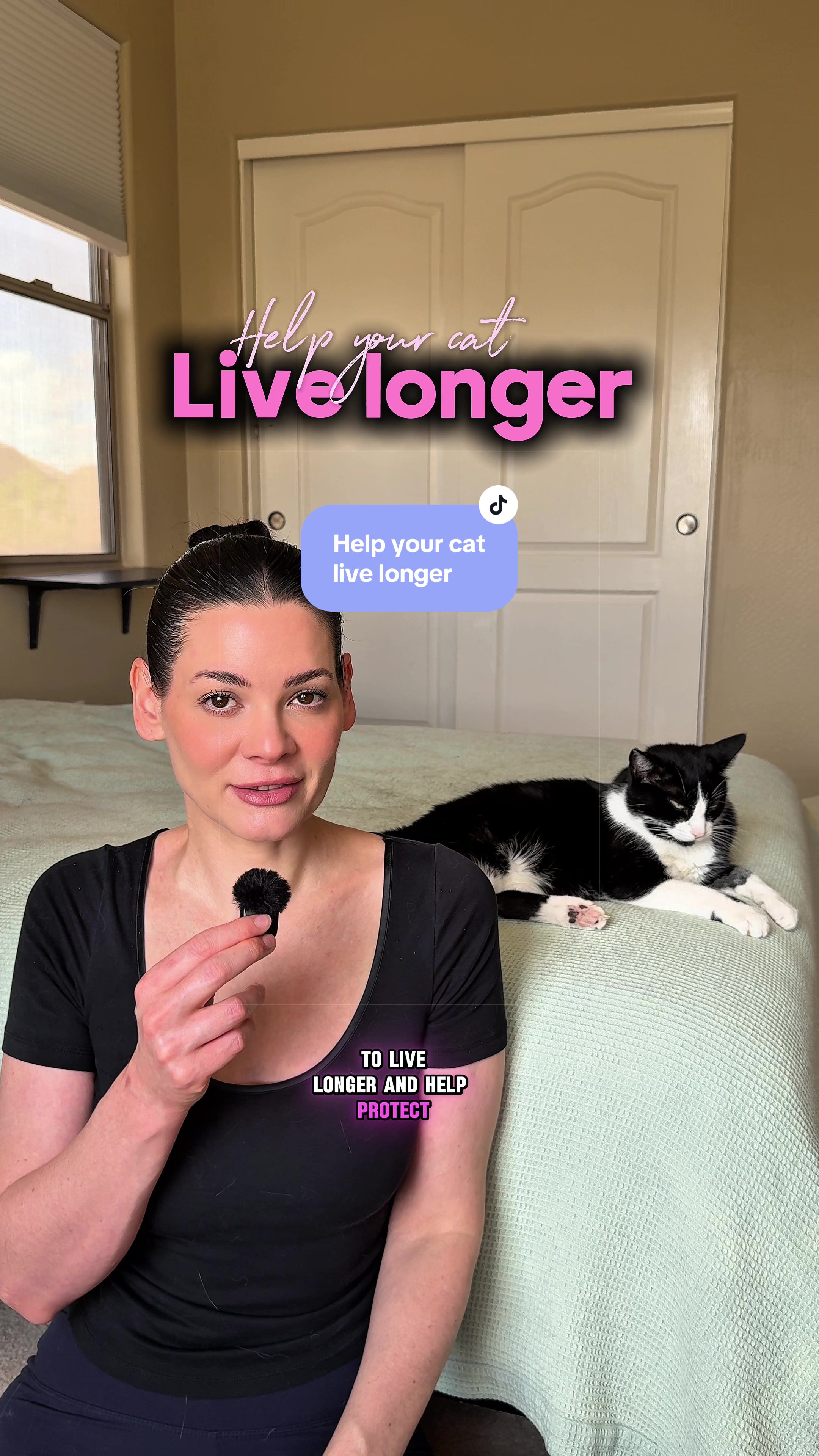 @Feminist Kitty | Cat Nutrition