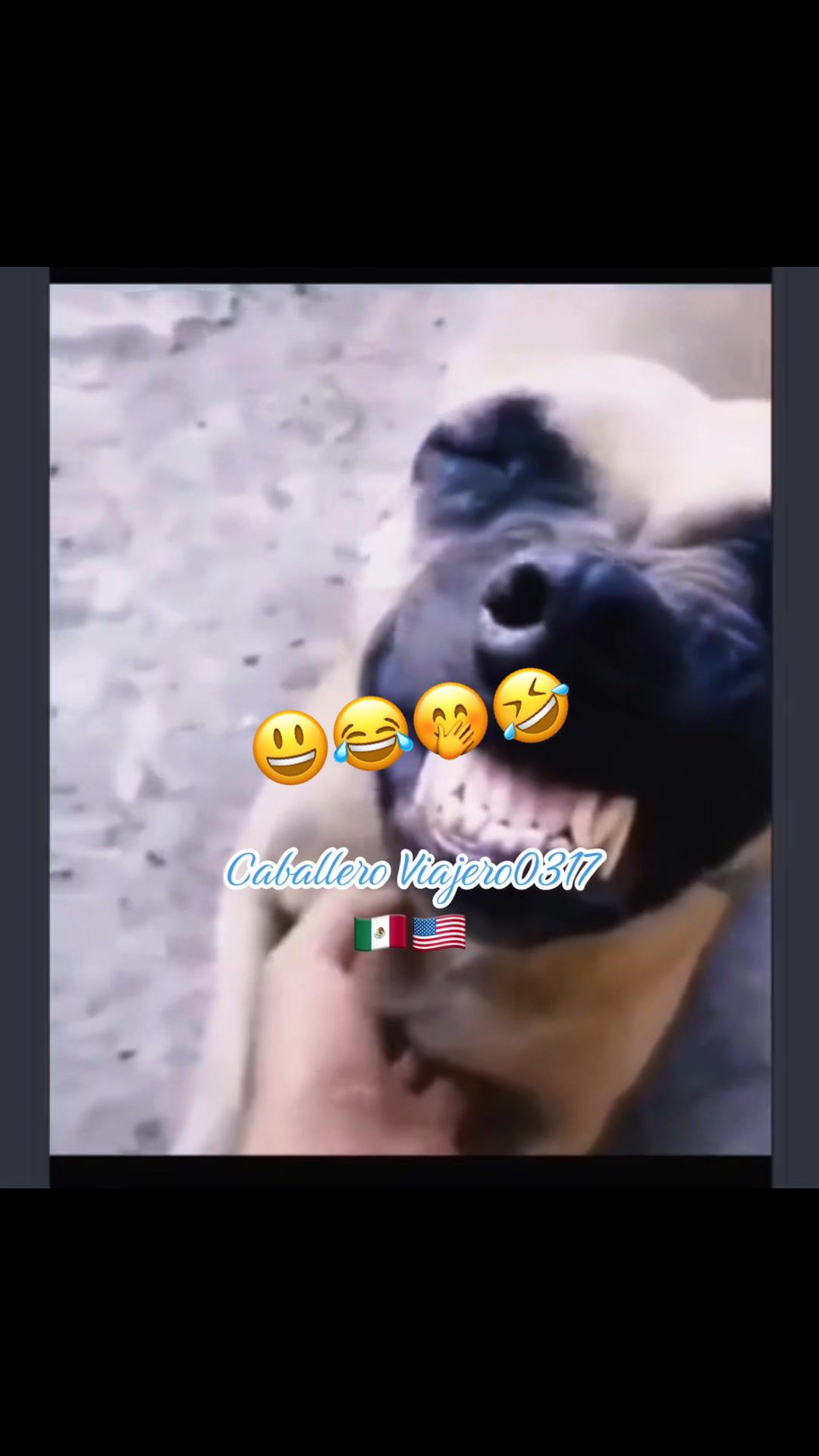 @caballeroviajero0317