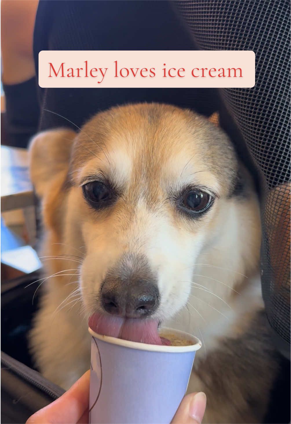 @Marley