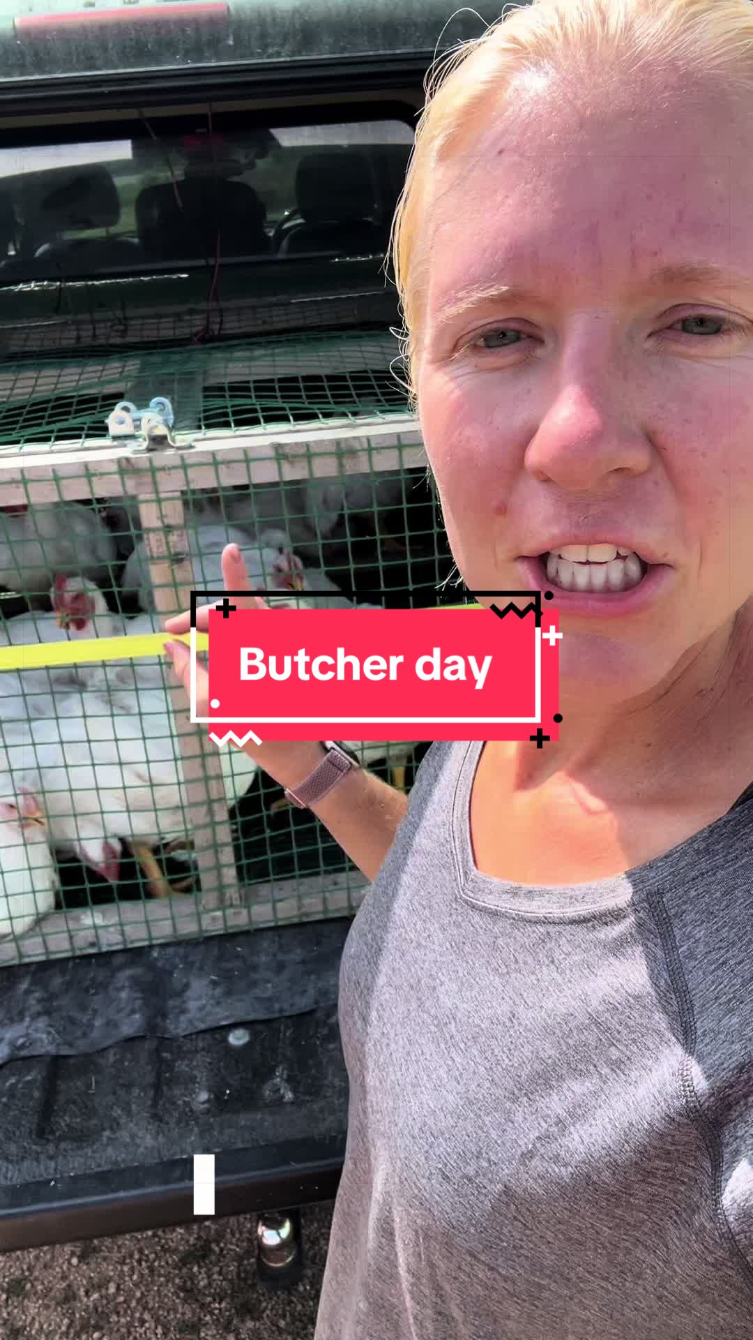 @littlesandycreekfarm