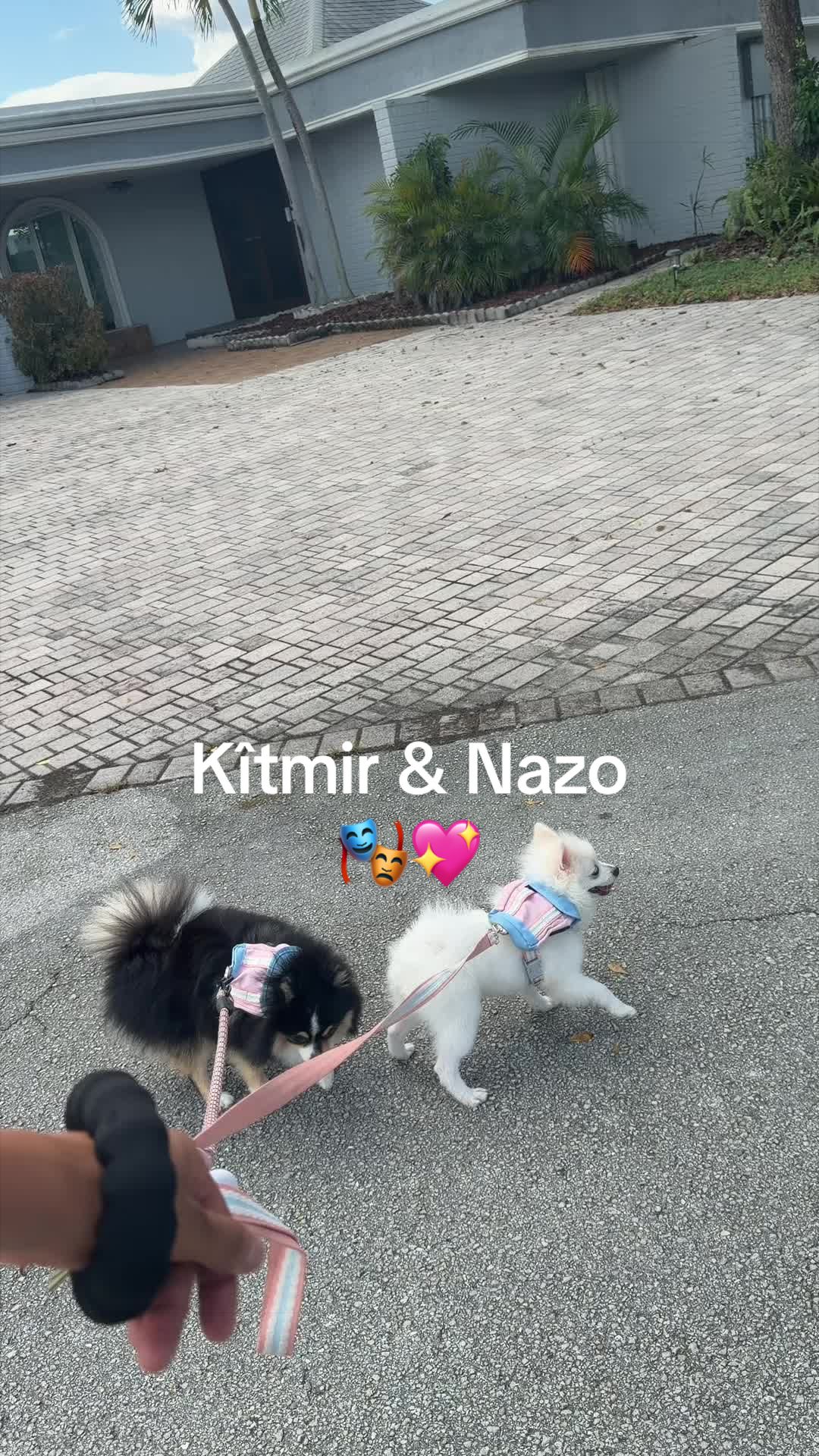 @kitmirandnazo