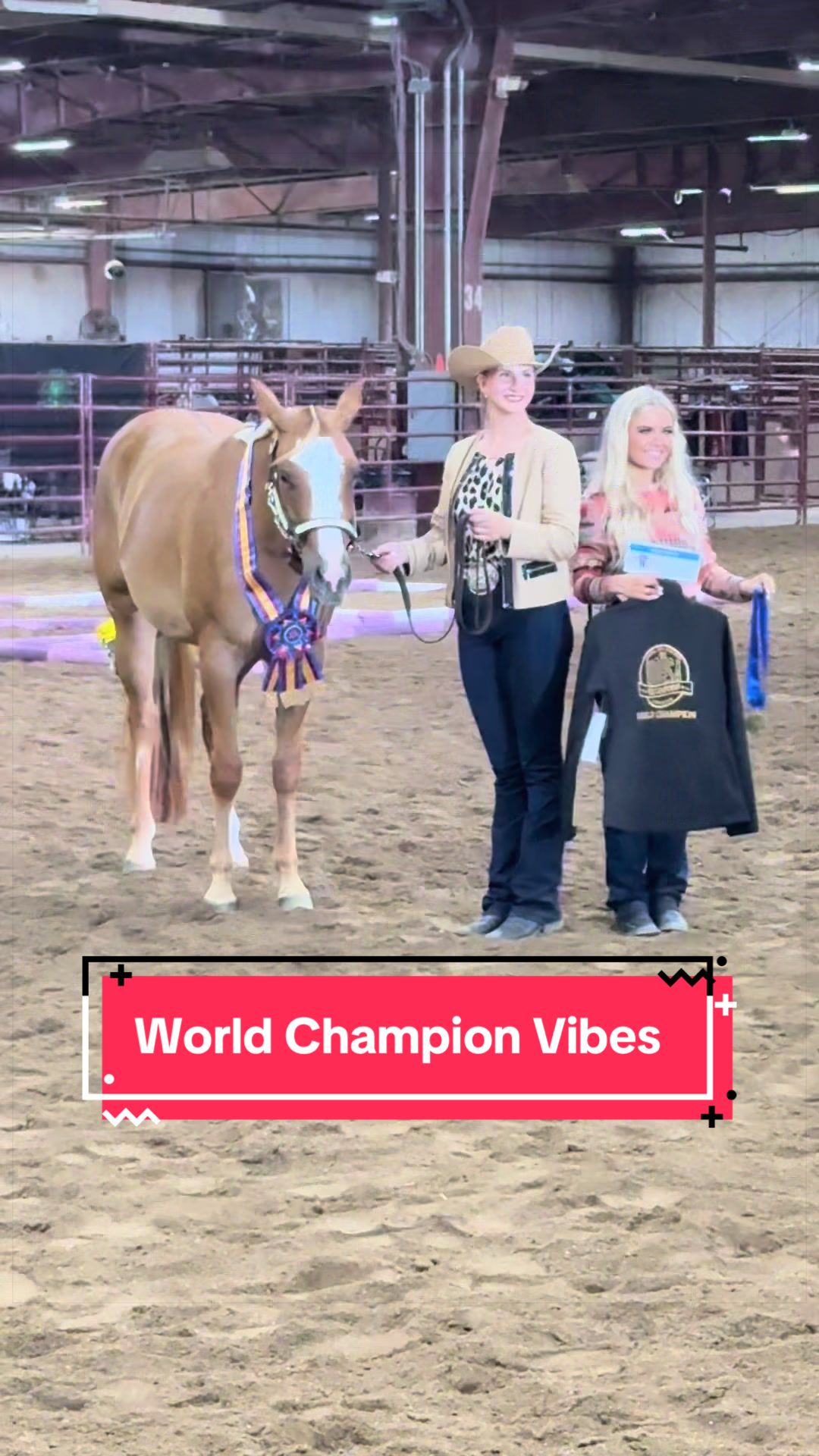 @yourhorseandponyleader