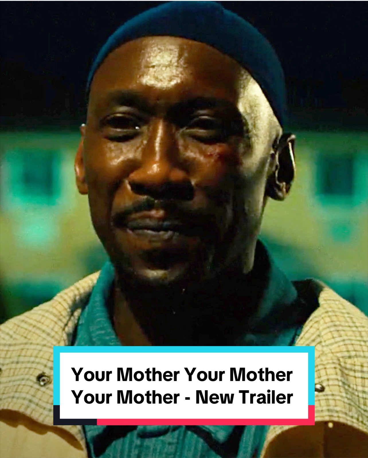 @Rotten Tomatoes