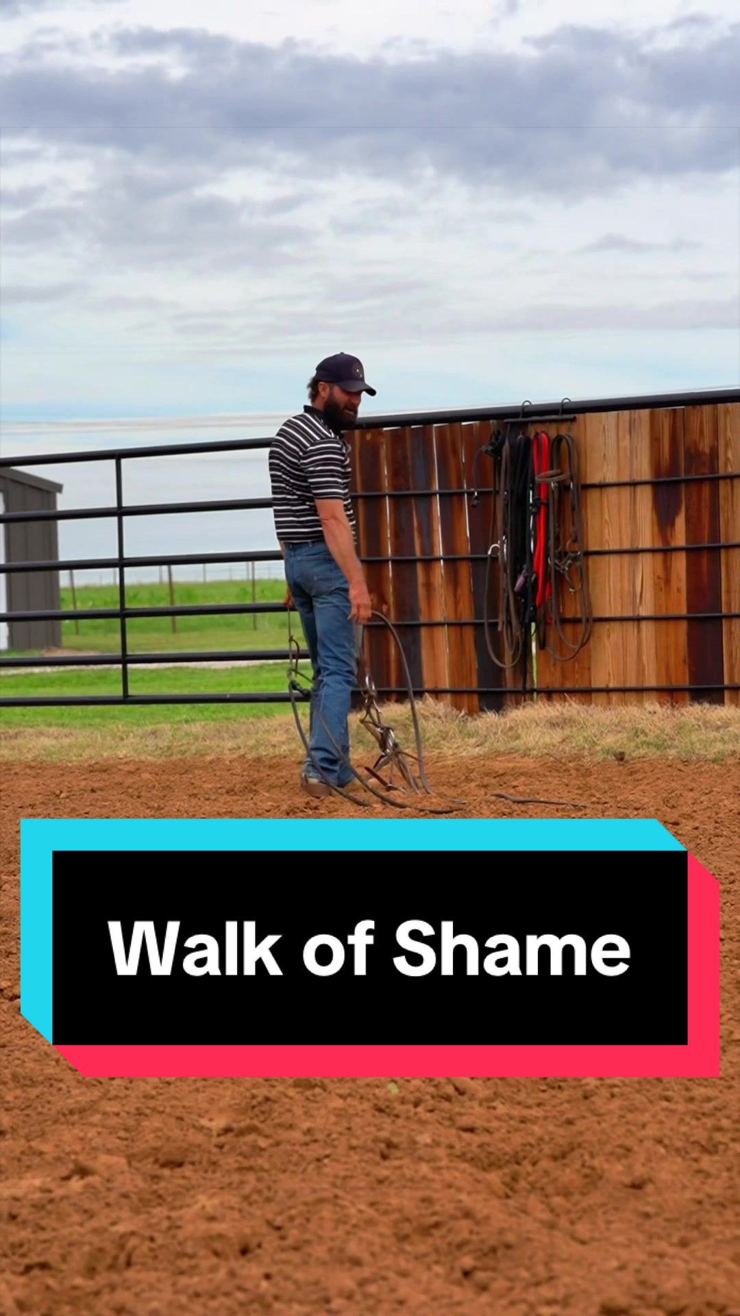 @WS Horses