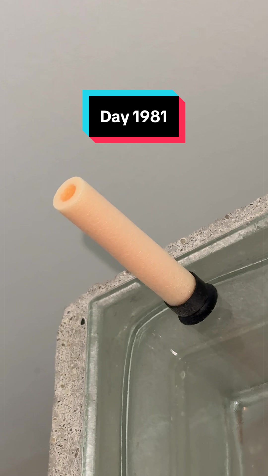 @The Immortal Nerf Dart