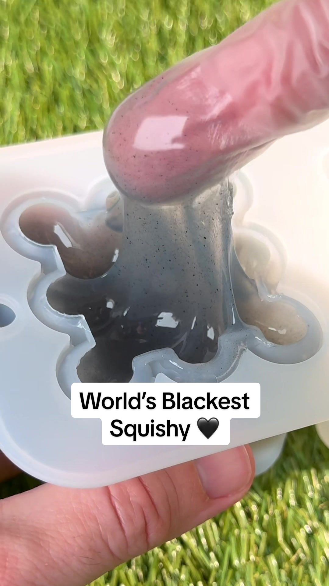 @Mushykinz