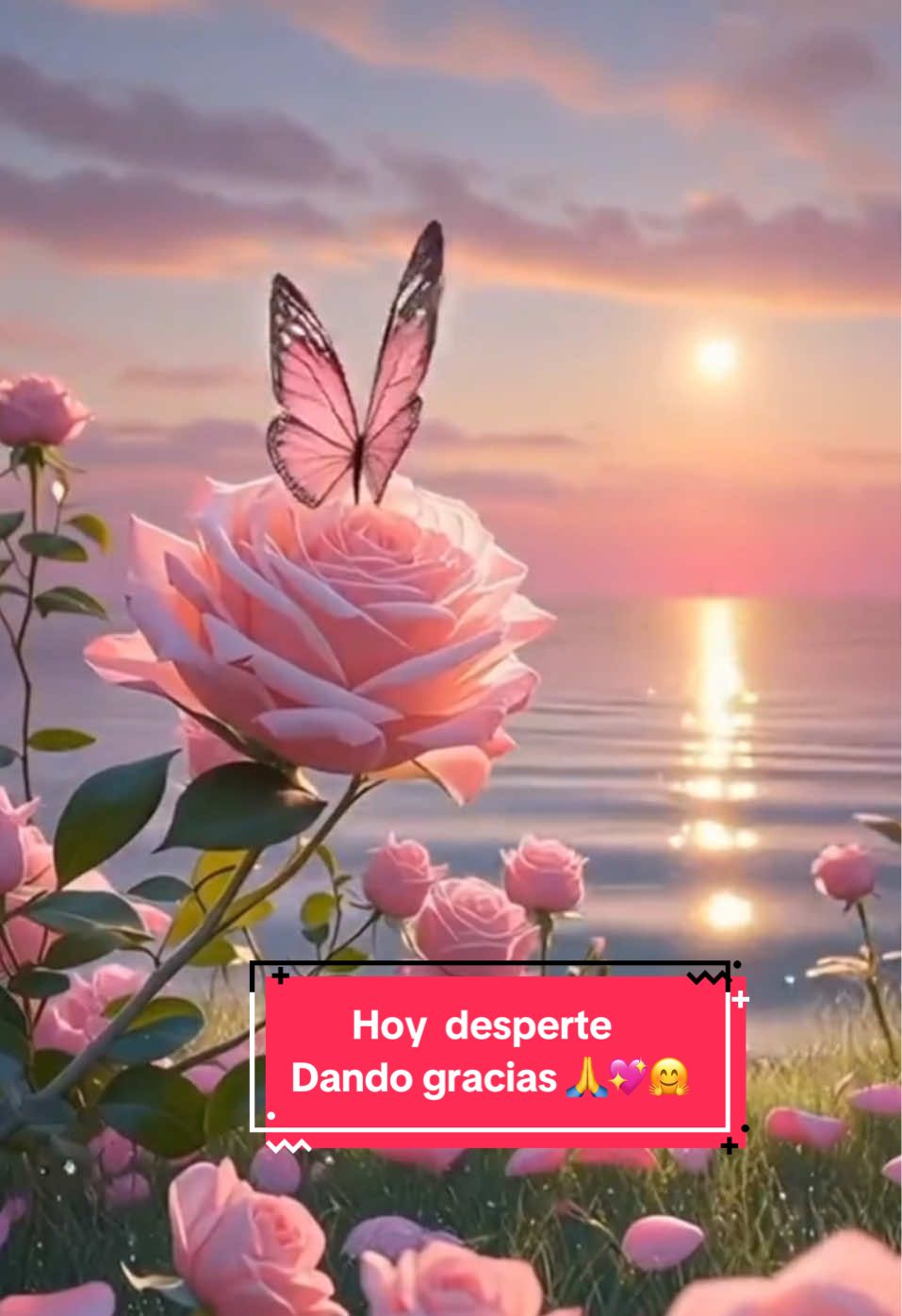 @Vivir & Amar