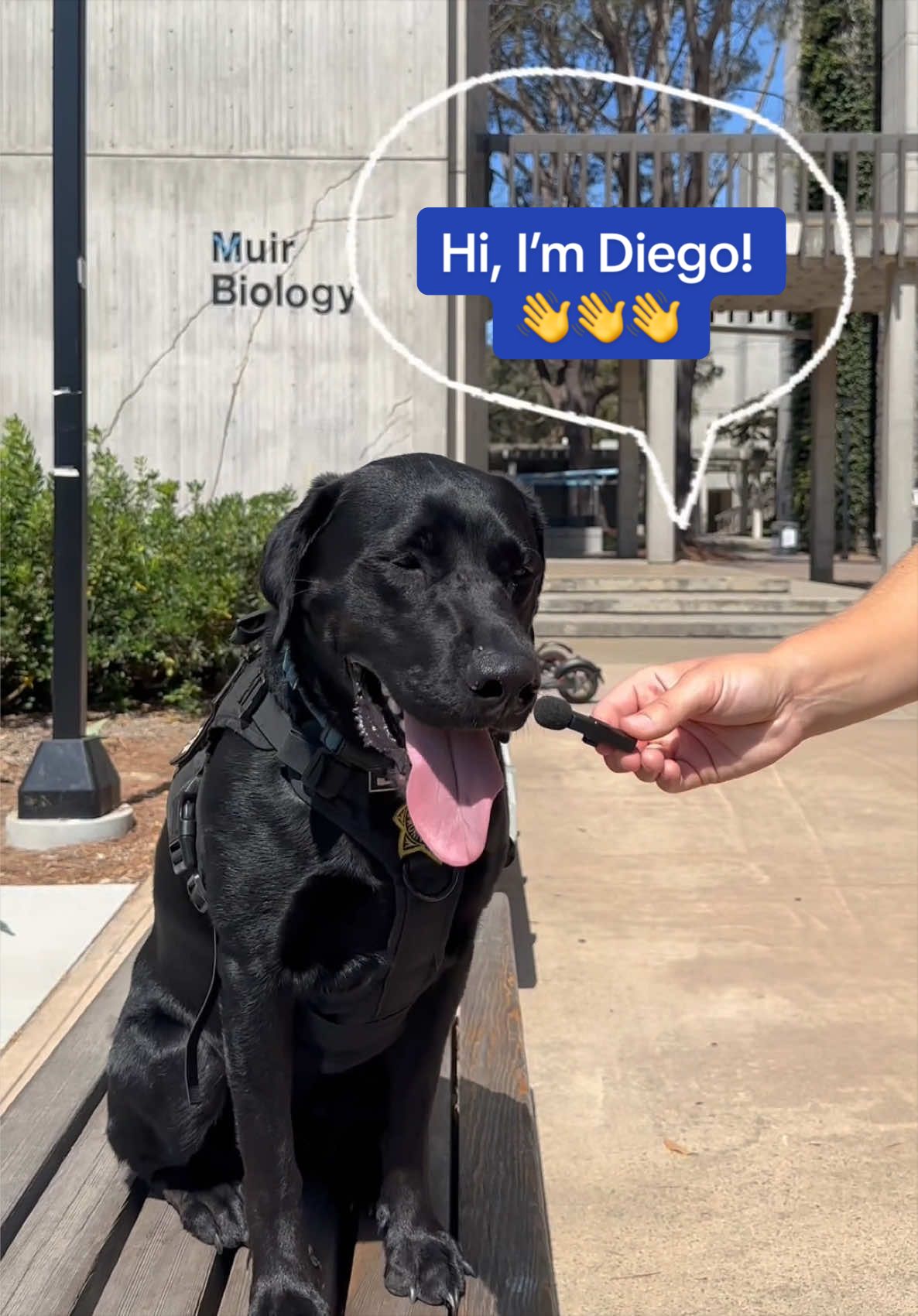 @UC San Diego