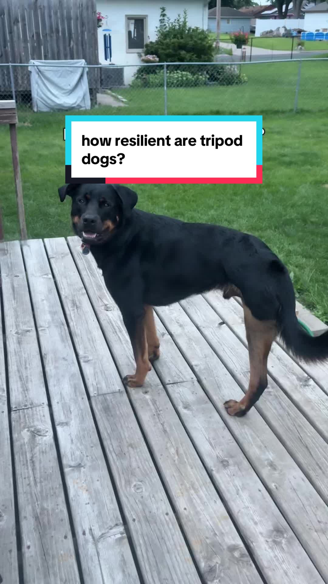 @Ozai the Tripod