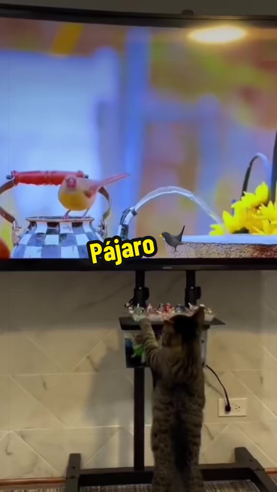 @🦖 MEOWassic World 🌎