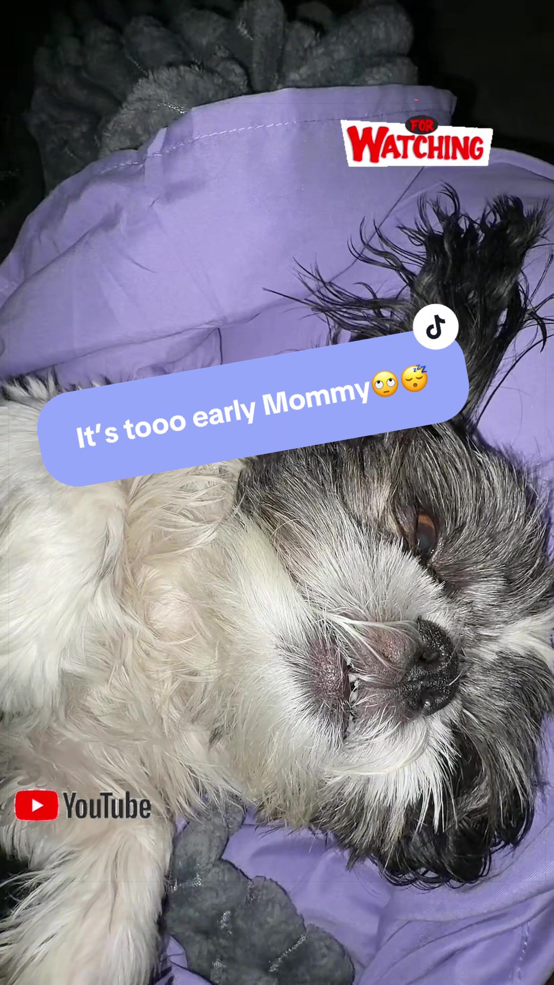 @livinlifewithsugieandsonny