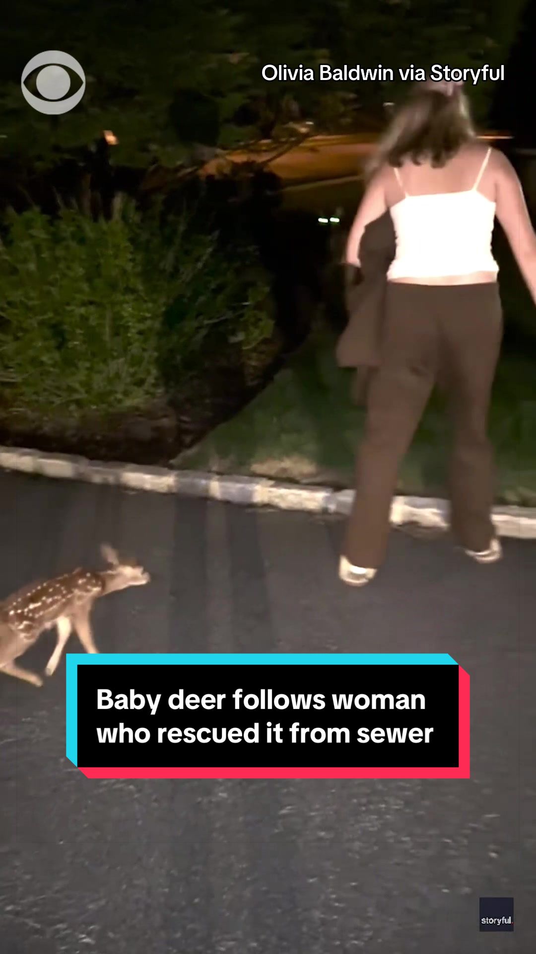 @cbsnews