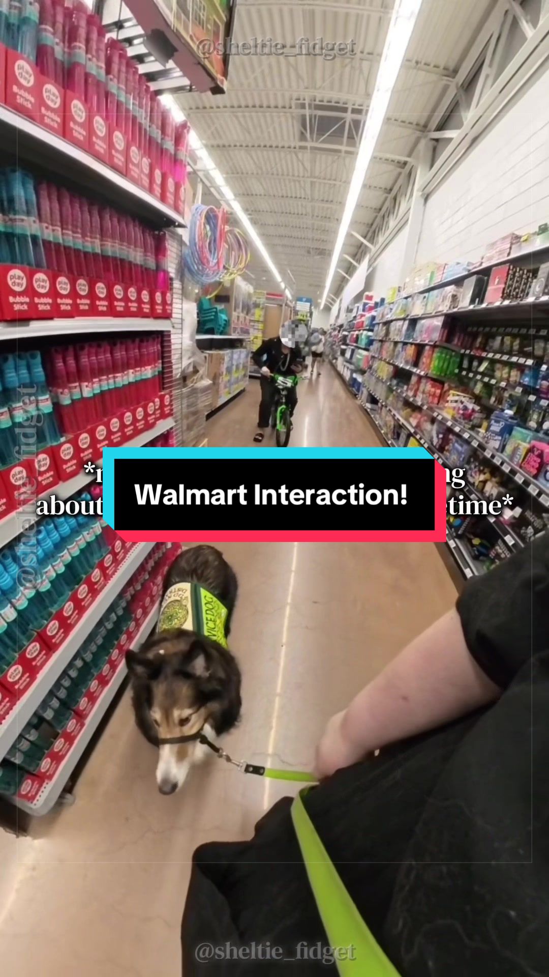 @Dakota & Pups