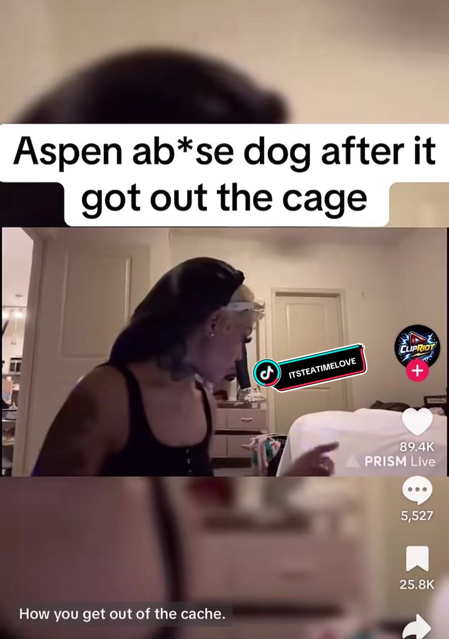 @itsteatimelove