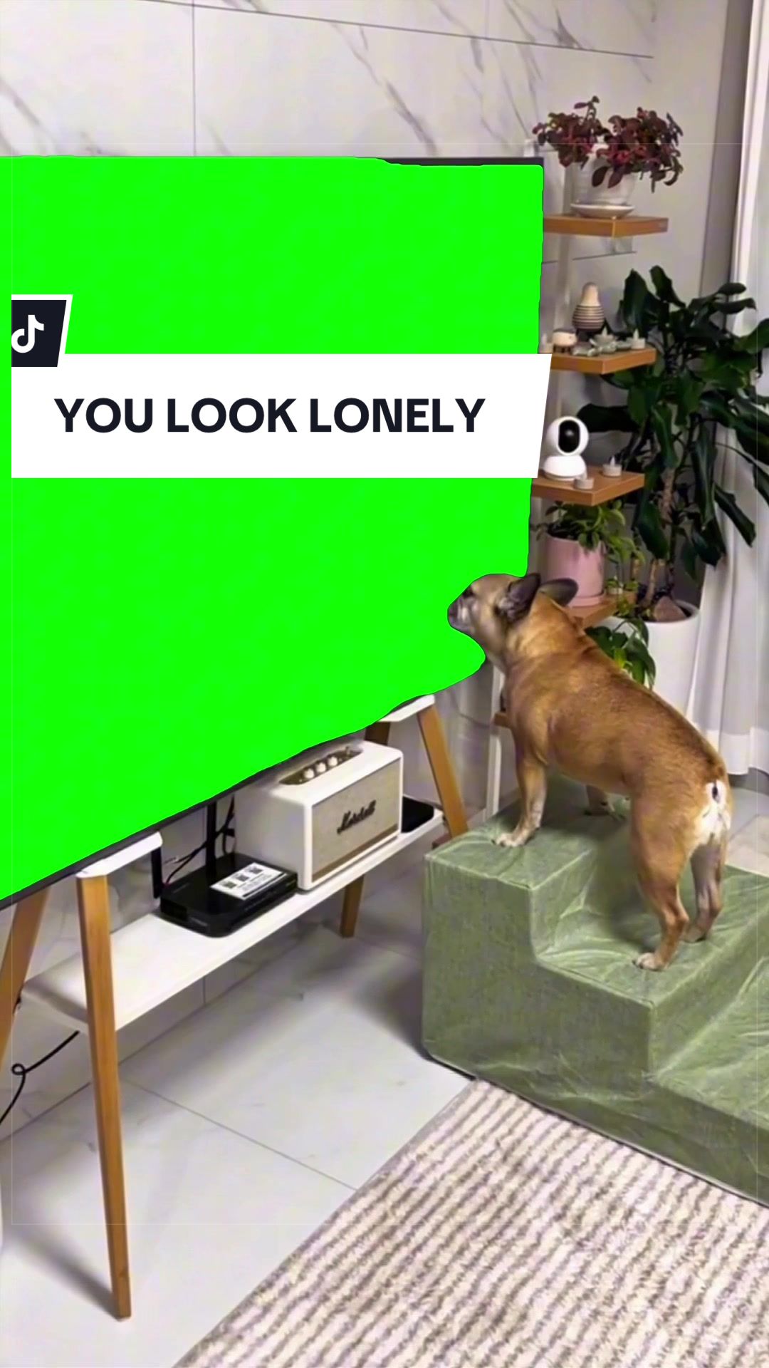 @SILLYBALOO