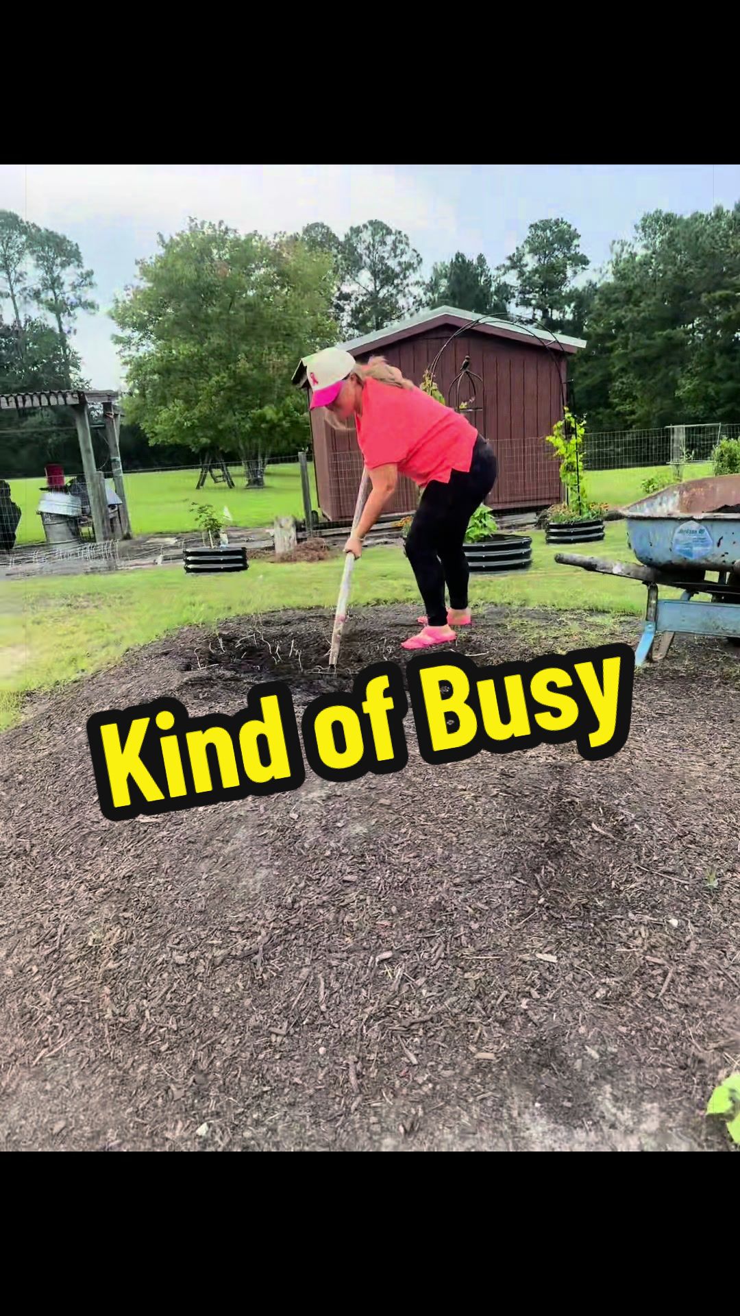 @Morgan | Cancer • Mom • Garden