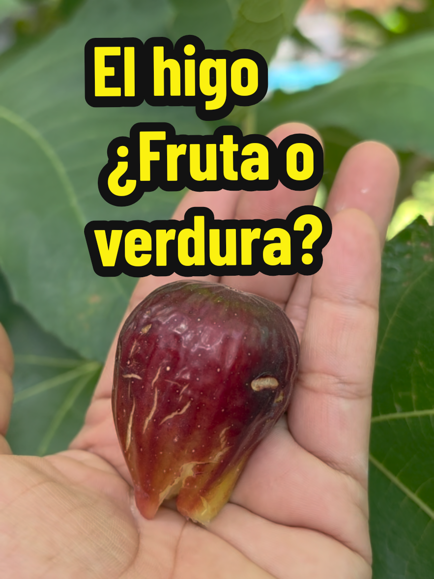 @Mi Rincón Favorito