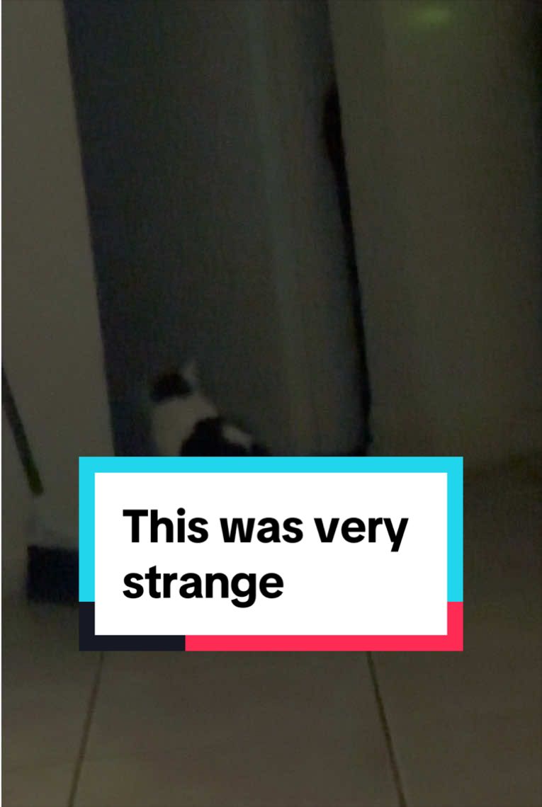 @Haunted TikToks