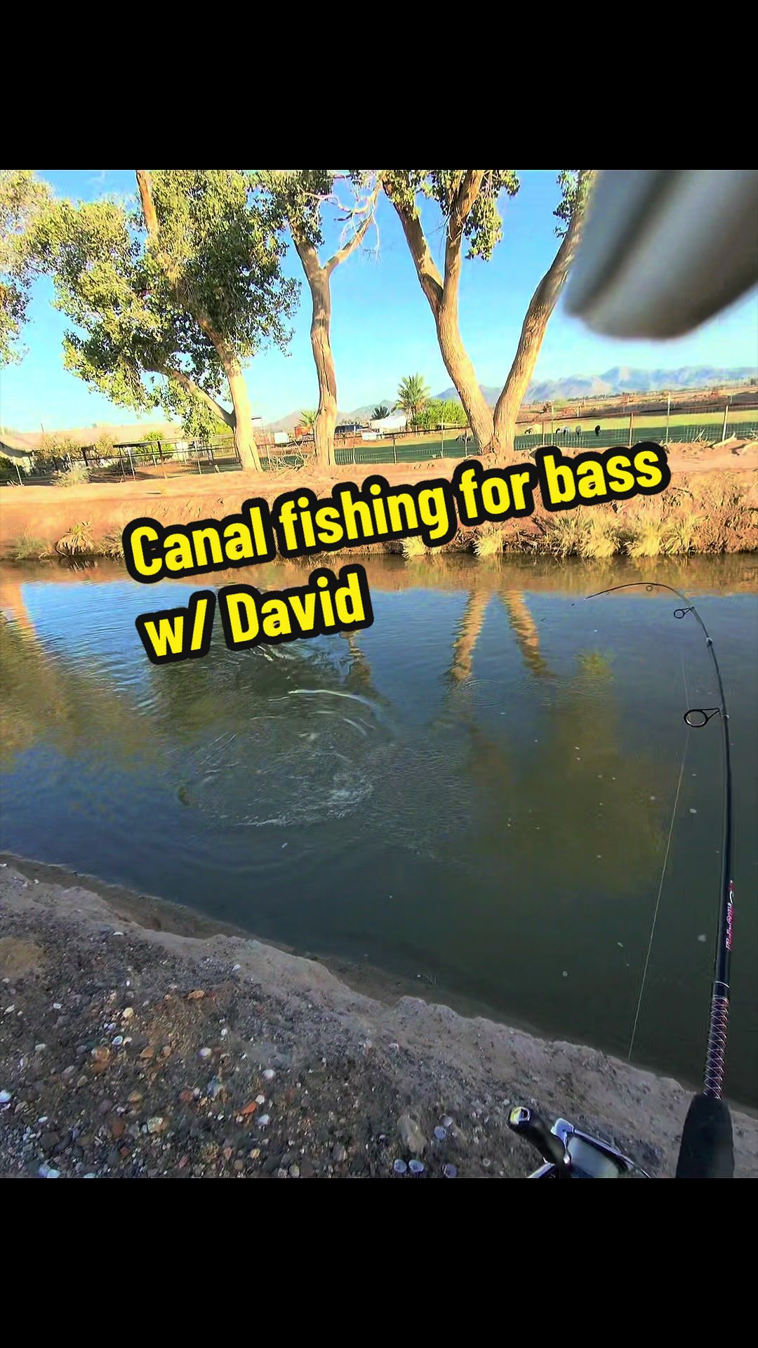 @Luu Nguyen Fishing