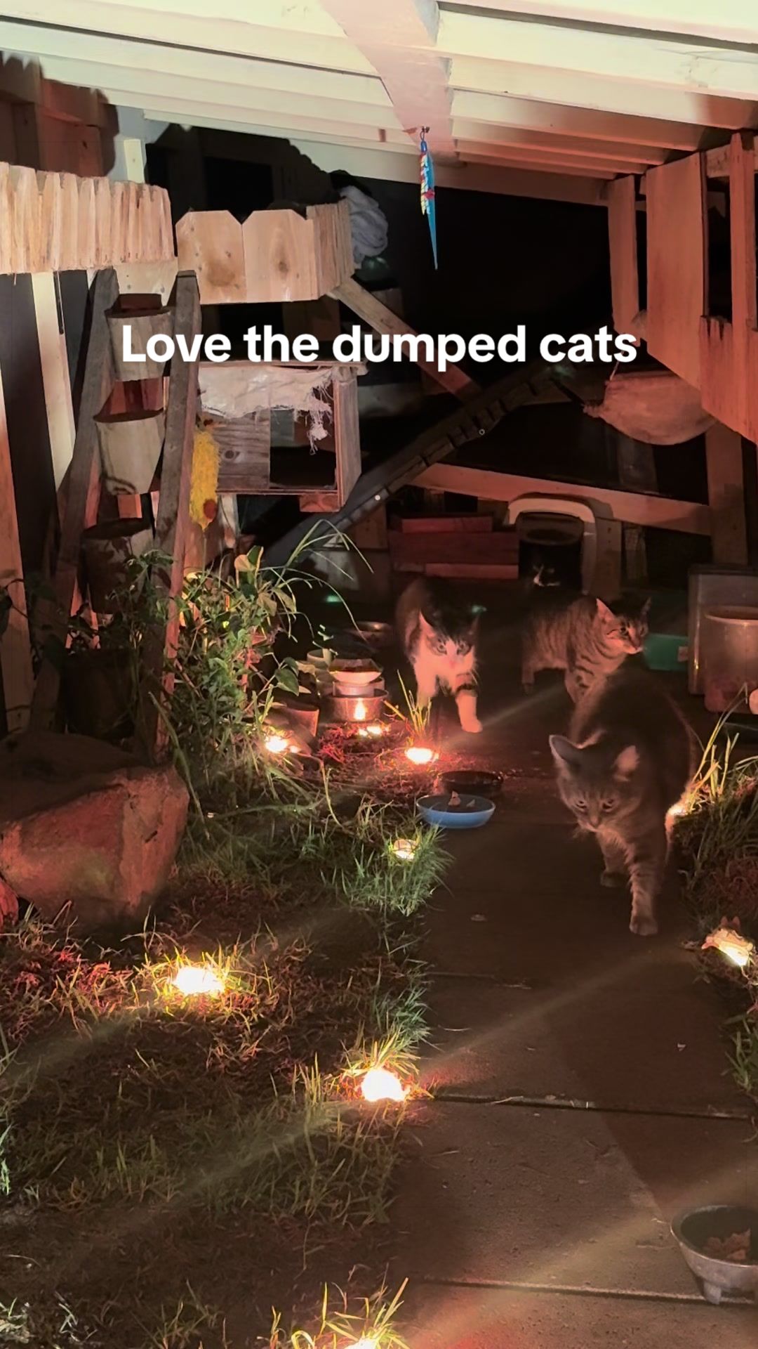 @meowypopoki