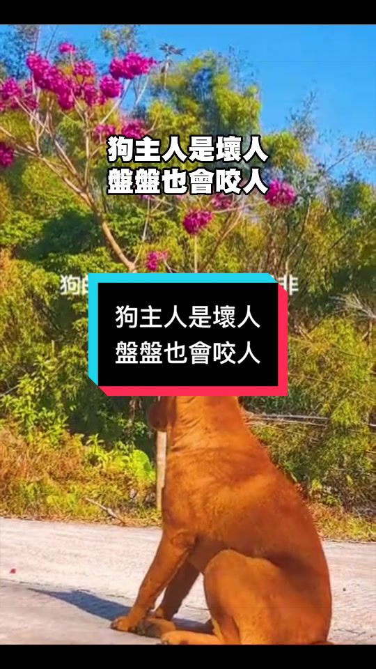 @自由福建8964抵制大一統-中共獨裁者FengZhou