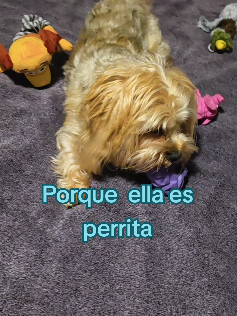 @CristalBalderas