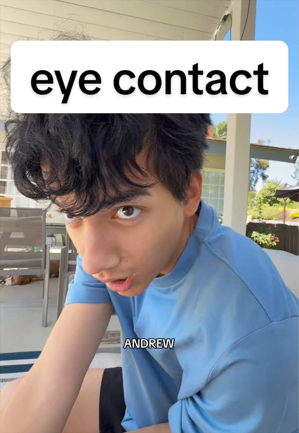 @Andrew Wassabi