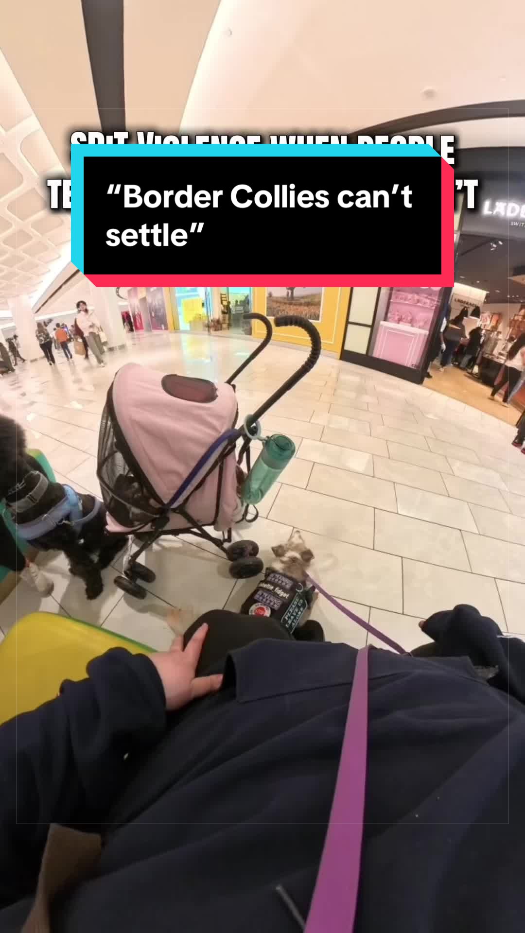 @Dakota & Pups