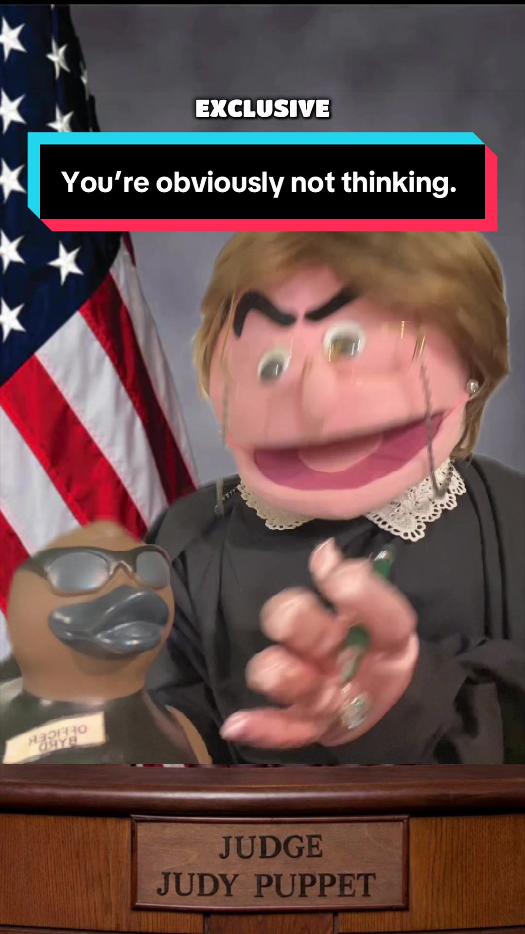 @Judy the Judgey Puppet Show