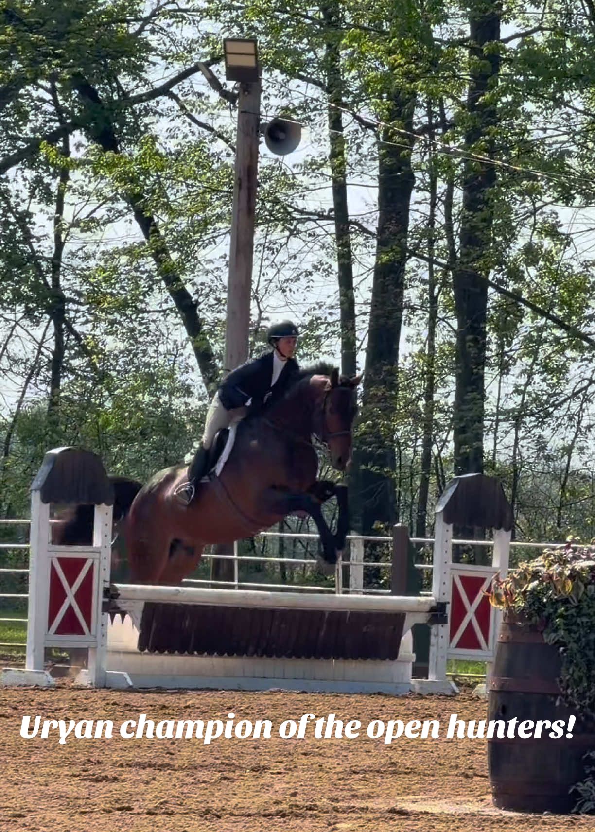 @Lunar Hill Equestrian