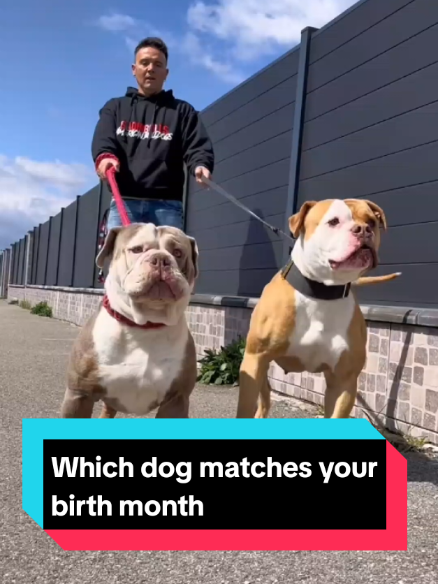 @The pet post