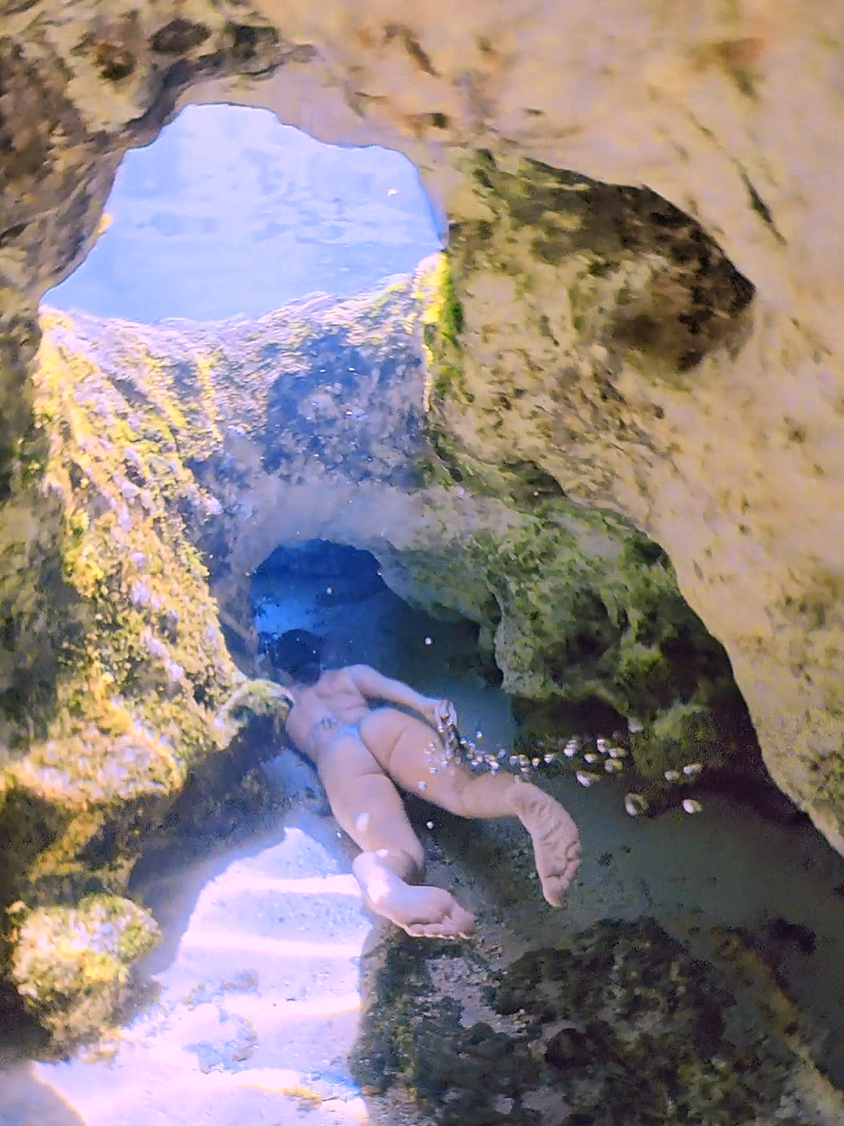 @𝓐𝓼𝓱𝓵𝓮𝔂🧜♀️✨️