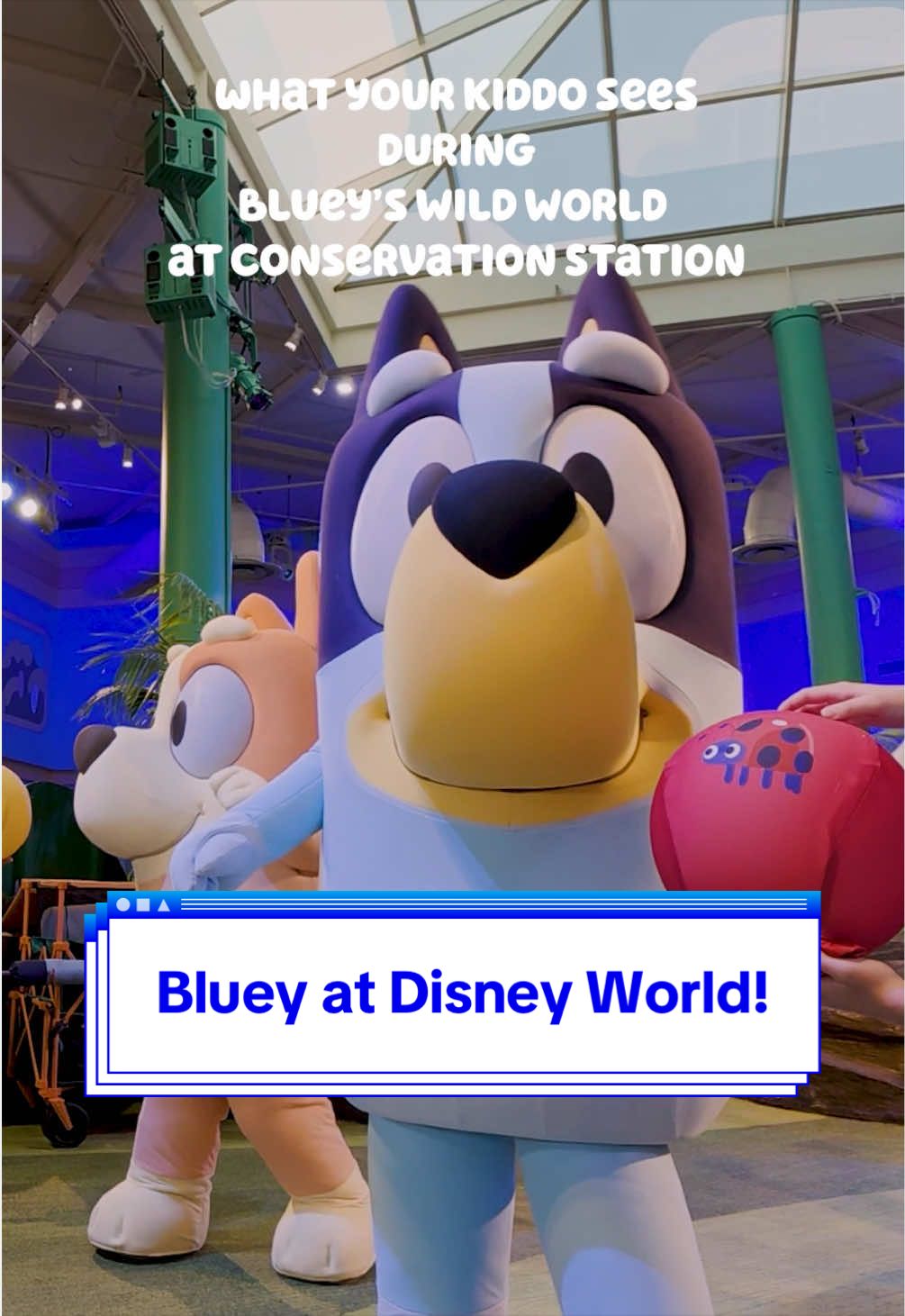 @Disney Parks