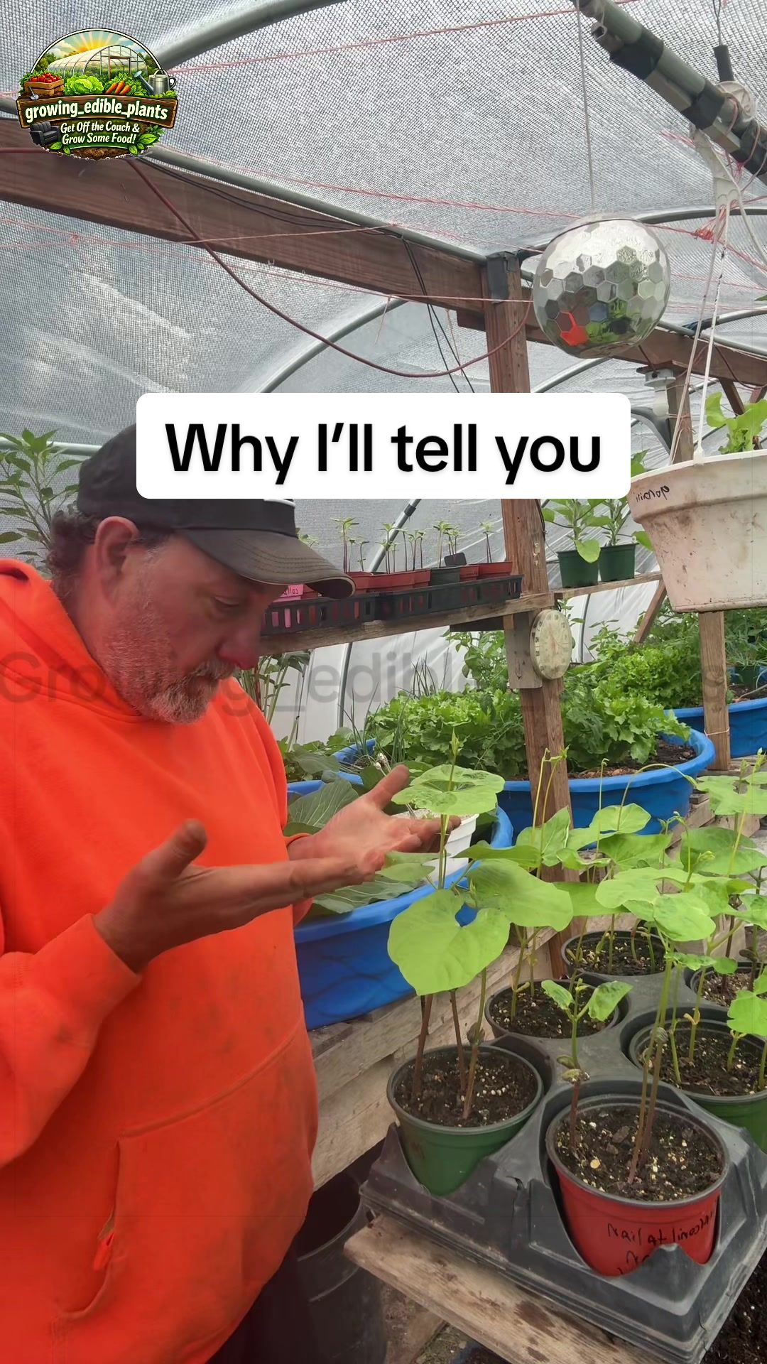 @GROWING_EDIBLE_PLANTS