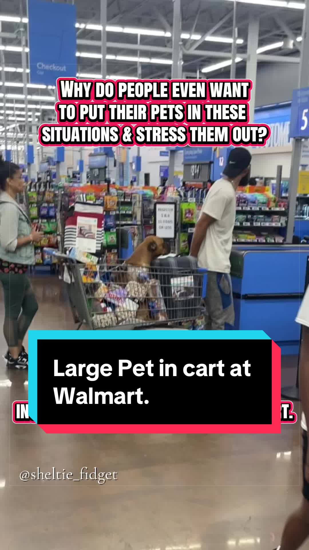 @Dakota & Pups