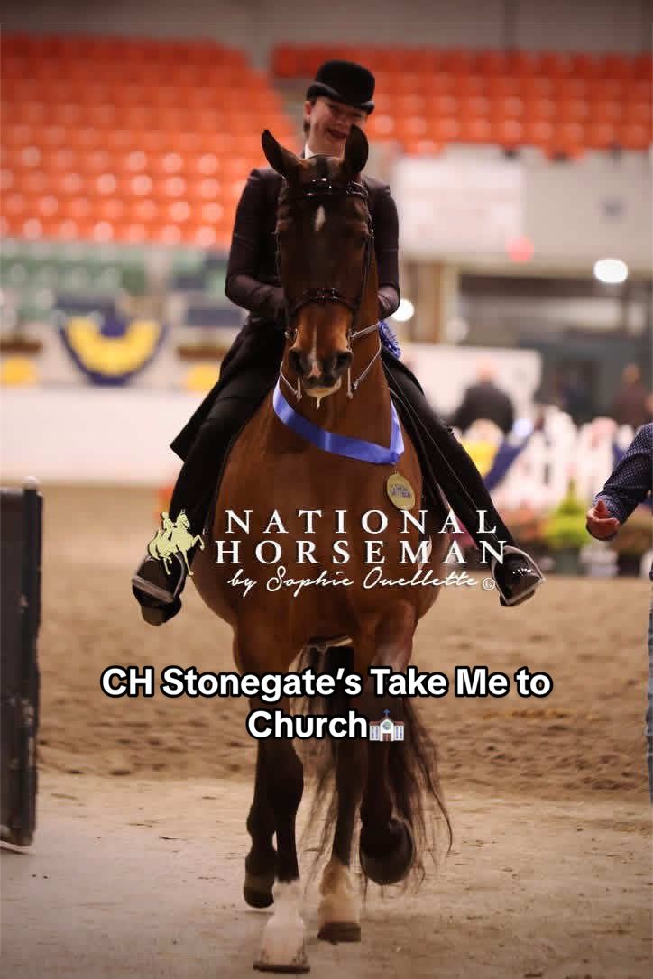 @Seraphim Stables