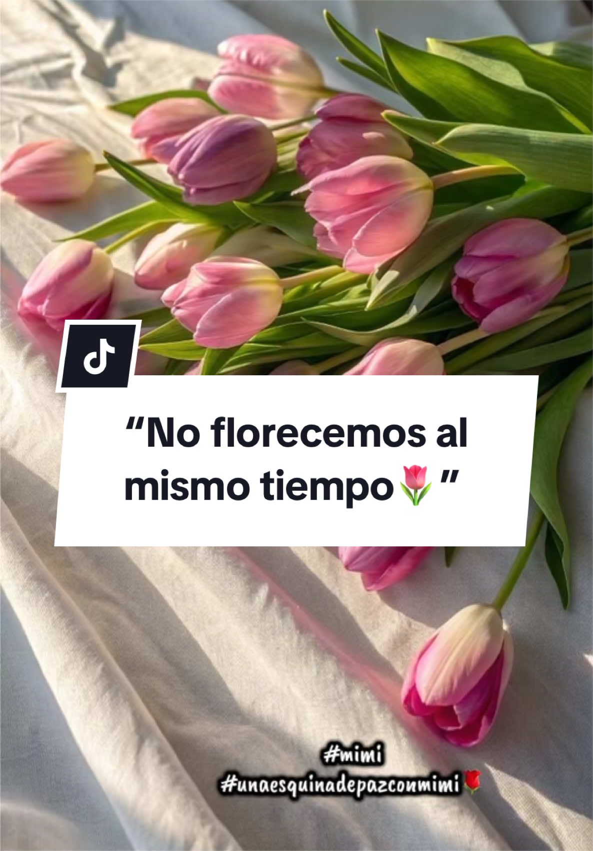 @Mimi🌹