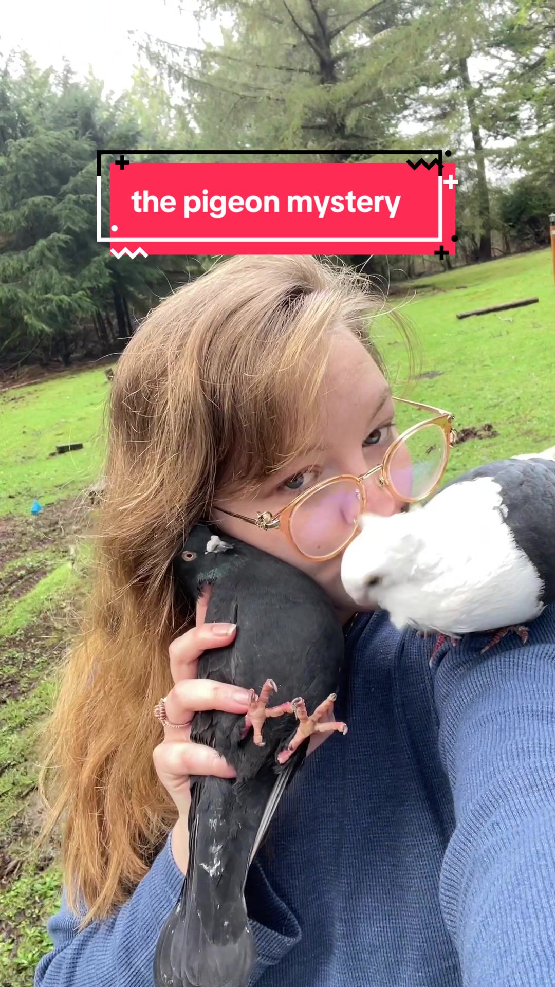 @Ava&rsquo;s Palomas 🕊️