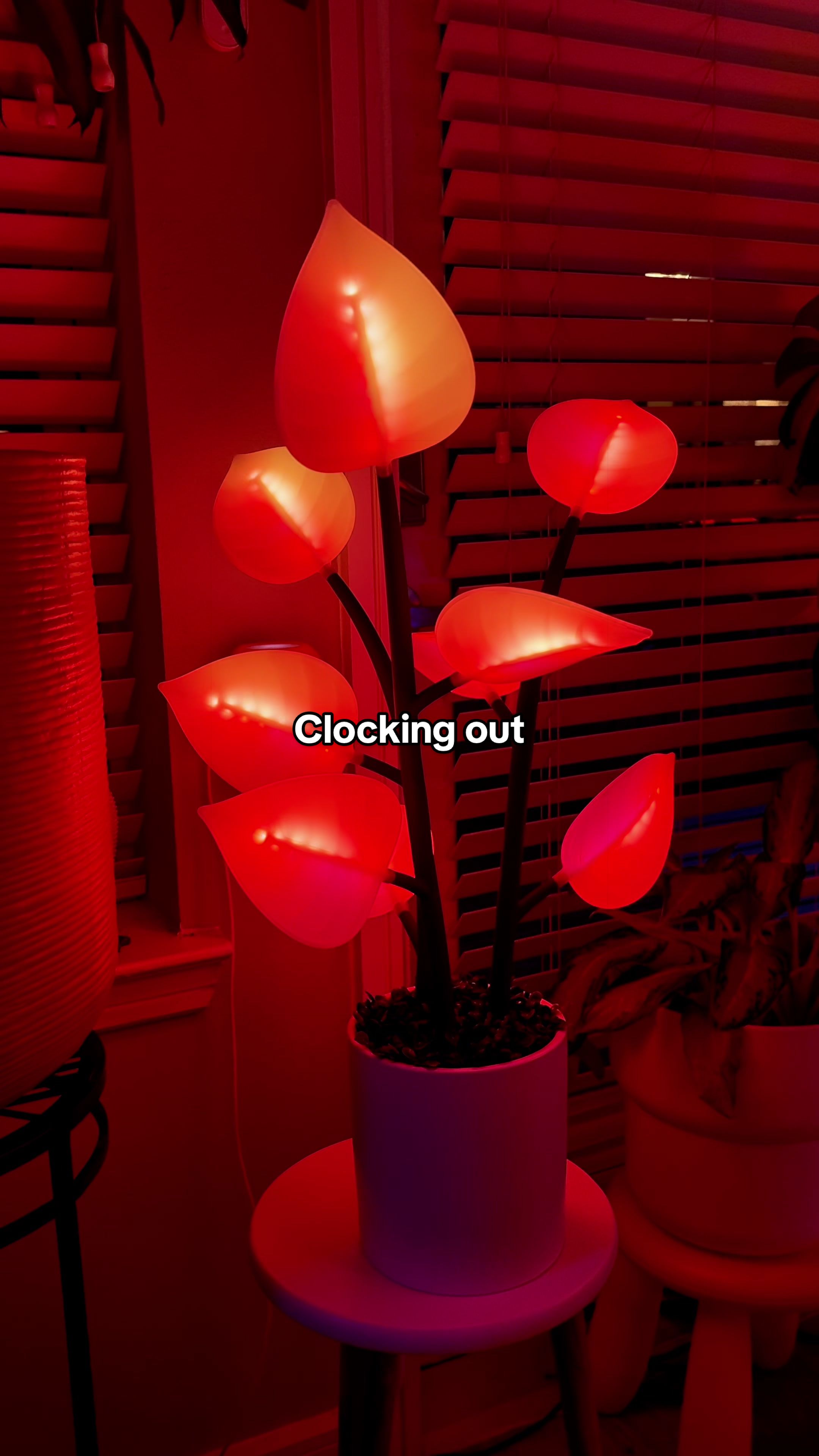 @Fluora