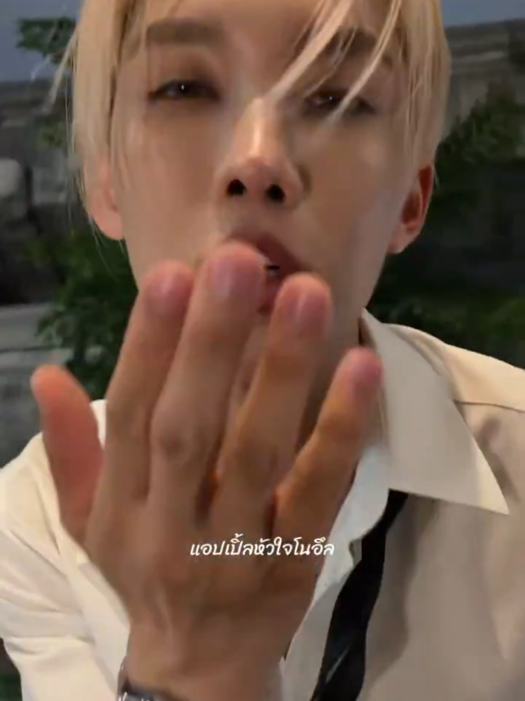 @loveofmang🥭