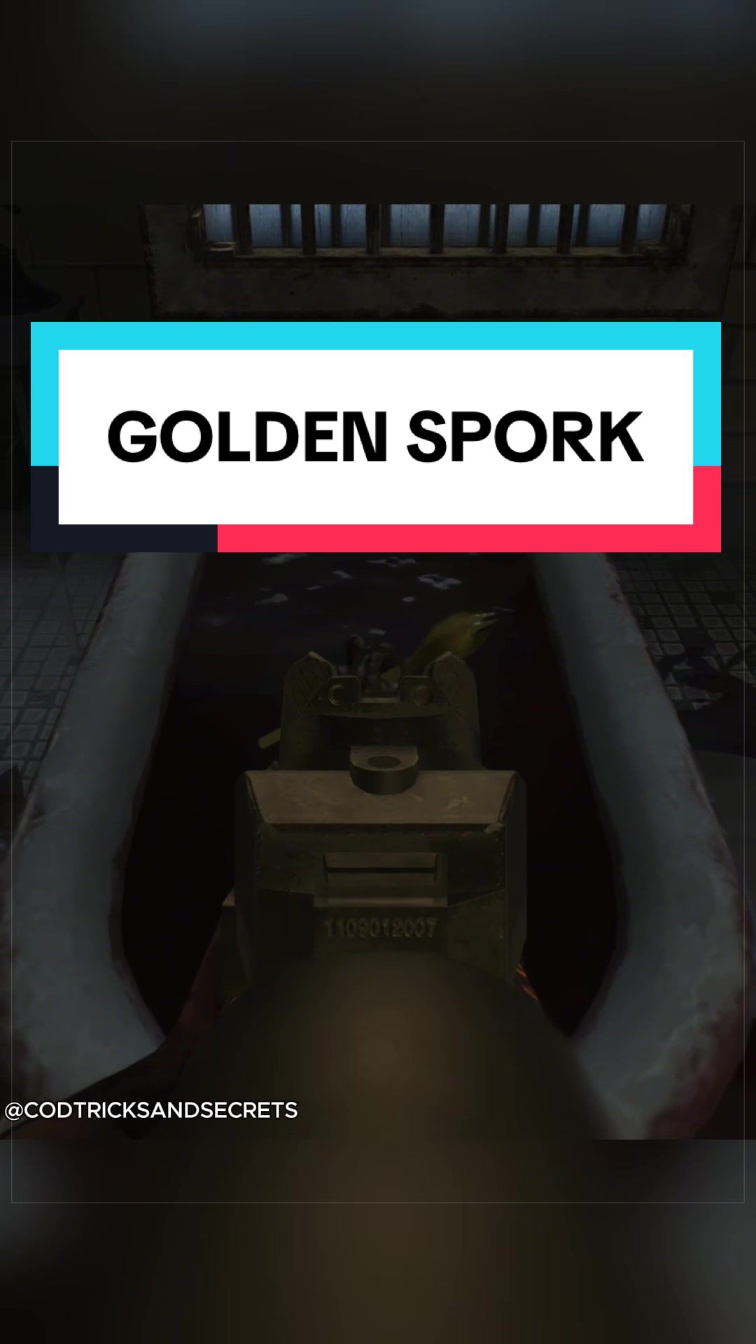 @CODTricks&Secrets